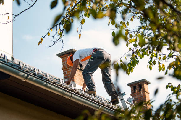 Best Gutter Installation and Roofing  in Cedar Grove, WI