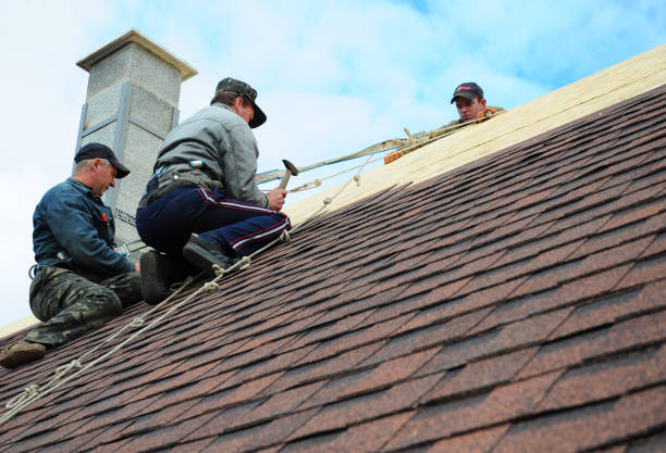 Best Shingle Roofing Installation  in Cedar Grove, WI